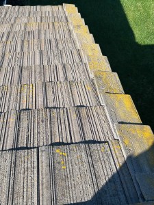 Rooftop topped with moss